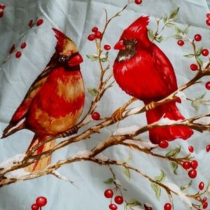 Pottery Barn Euro Shams